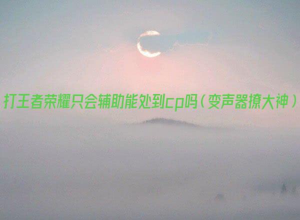 打王者荣耀只会辅助能处到cp吗（变声器撩大神）