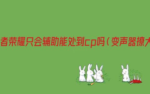 打王者荣耀只会辅助能处到cp吗（变声器撩大神）