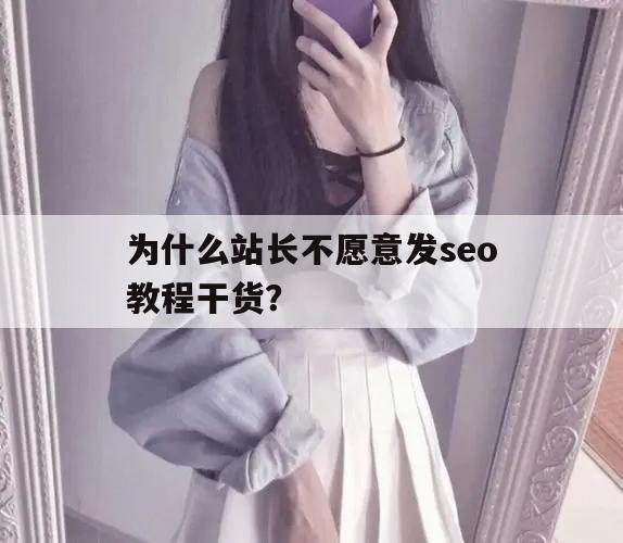 为什么站长不愿意发seo教程干货？