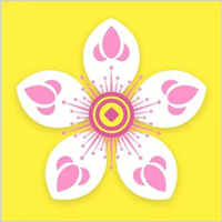 桃花网 桃花网