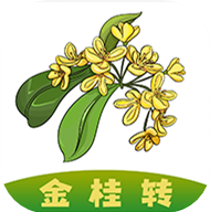 金桂转 金桂转