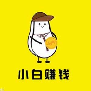 小白赚钱 小白赚钱
