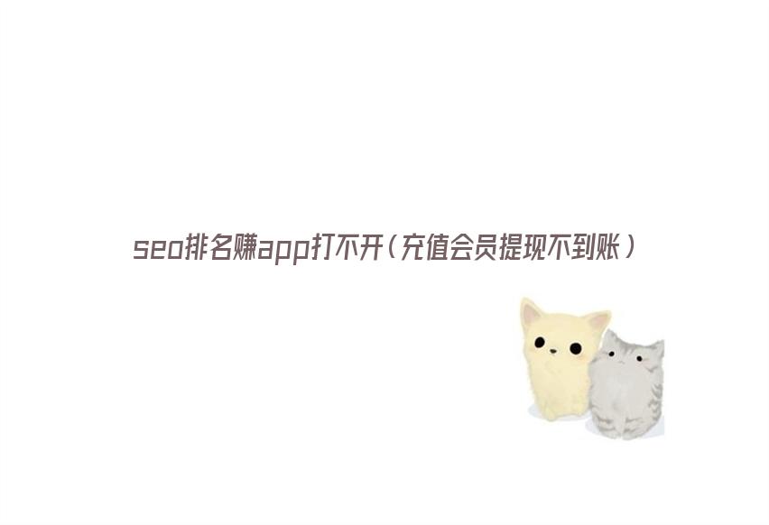 seo排名赚app打不开（充值会员提现不到账） 第1张