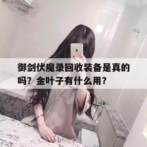 御剑伏魔录回收装备是真的吗？金叶子有什么用？