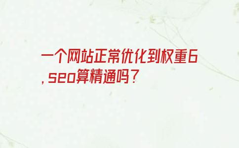 一个网站正常优化到权重6，seo算精通吗?