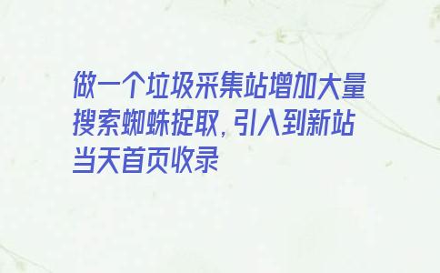 做一个垃圾采集站增加大量搜索蜘蛛捉取，引入到新站当天首页收录